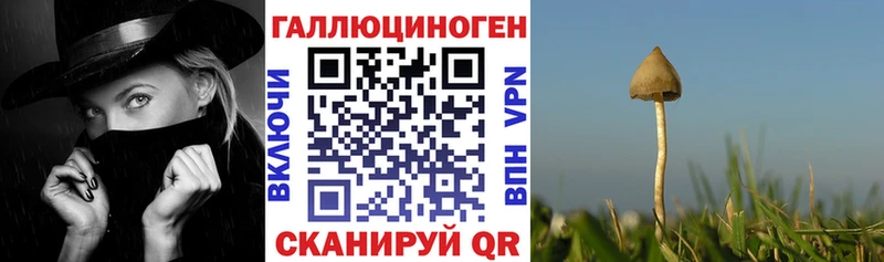 Галлюциногенные грибы мицелий мега ТОР Заринск