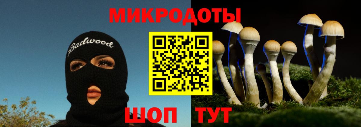 Псилоцибиновые грибы Psilocybine cubensis Заринск